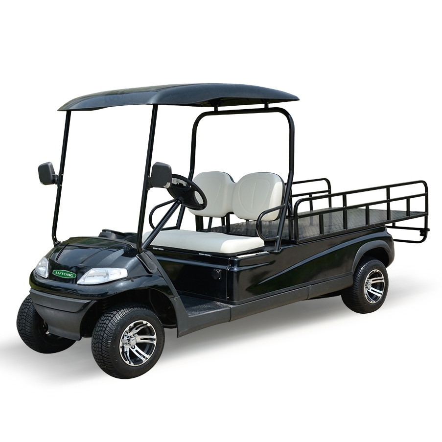 Test BUggy